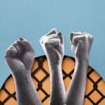 Cómo Construir una Estrategia Política Ganadora Desde Cero